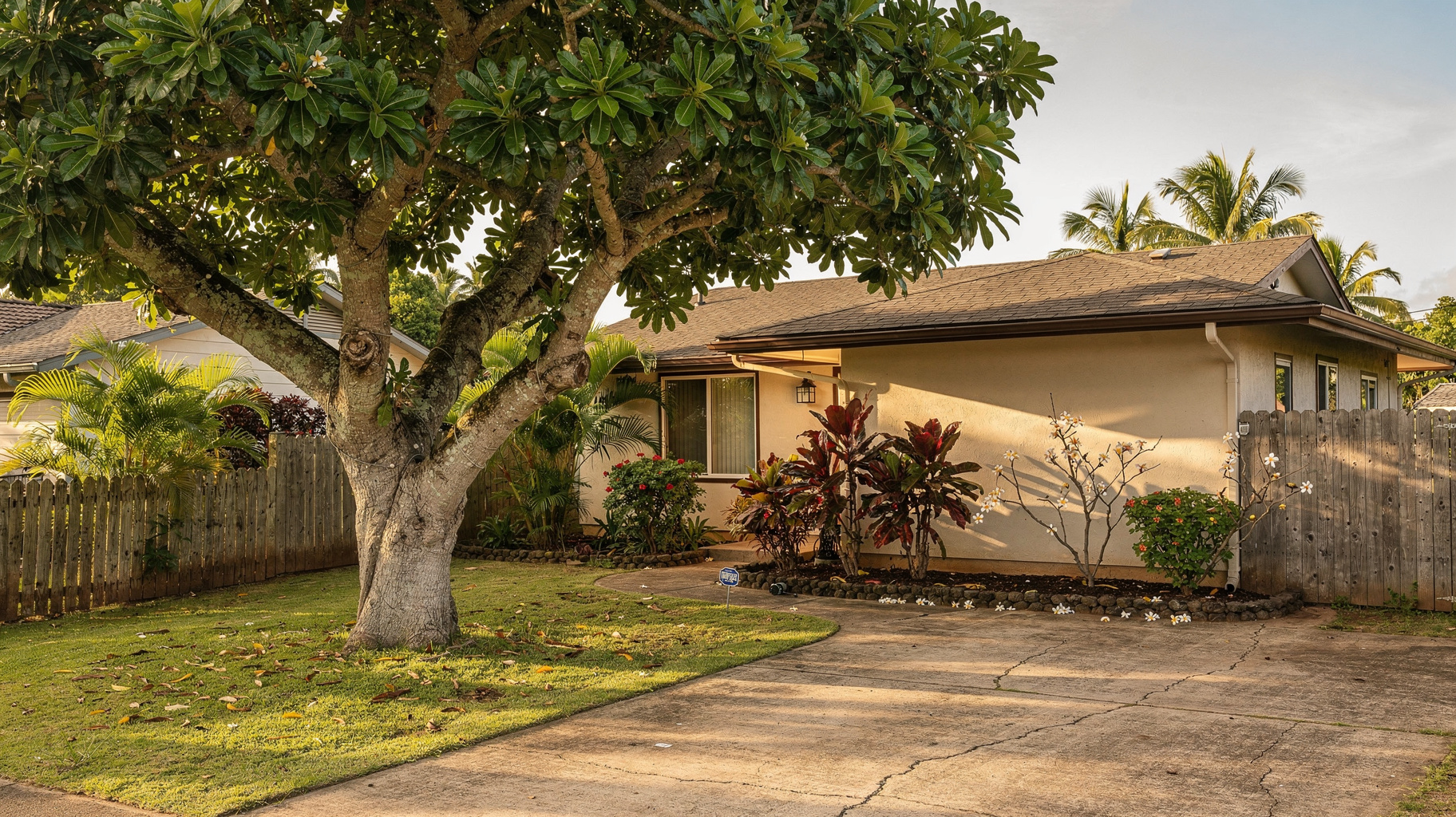 The Oahu Tree Pros team at work in Honolulu