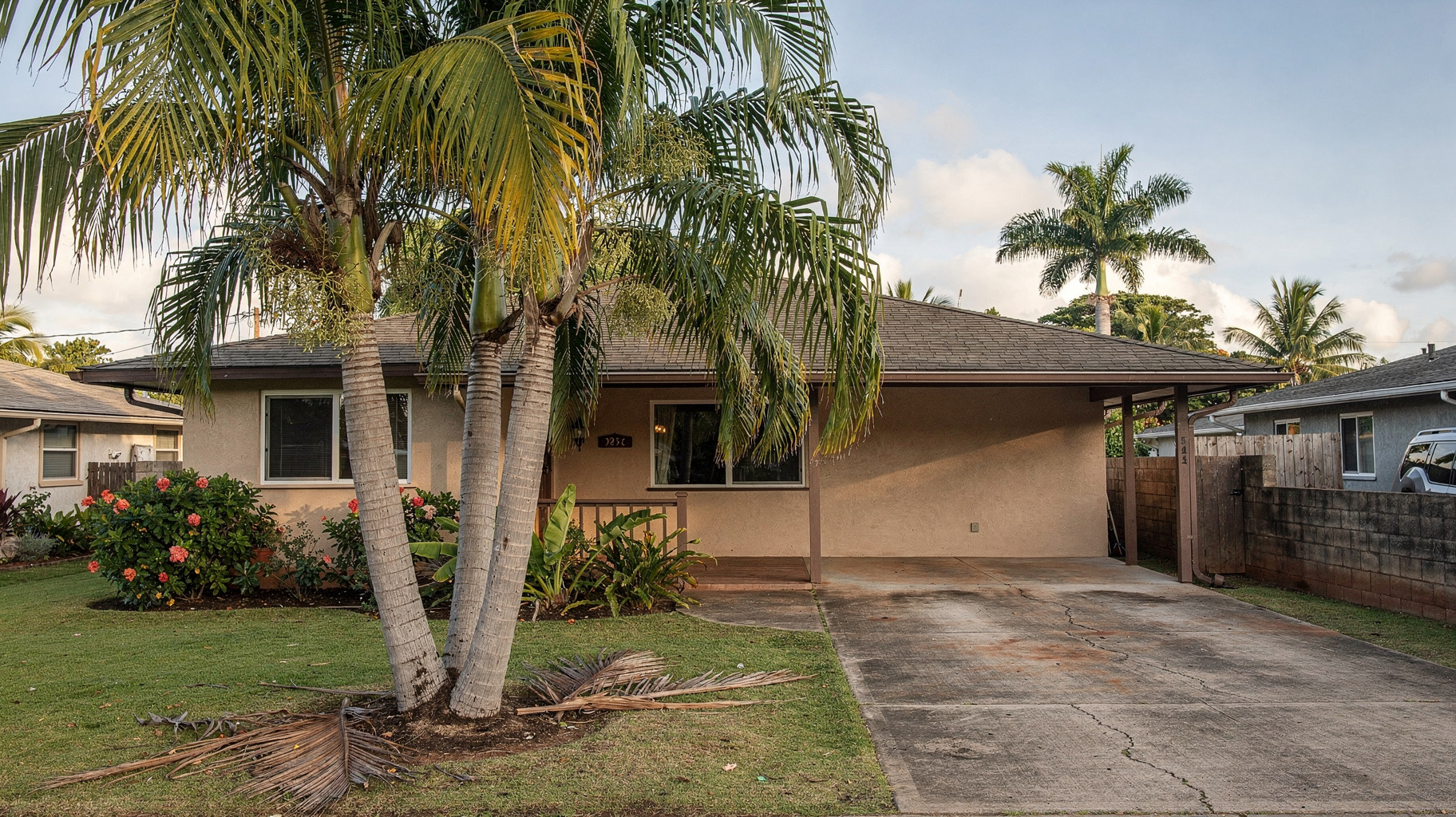 Palm Tree Services in Honolulu