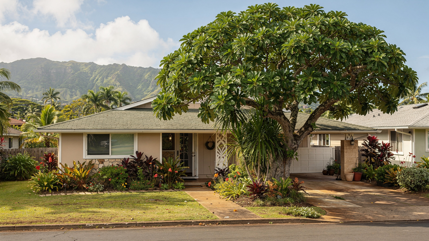 Tree Trimming & Pruning in Honolulu